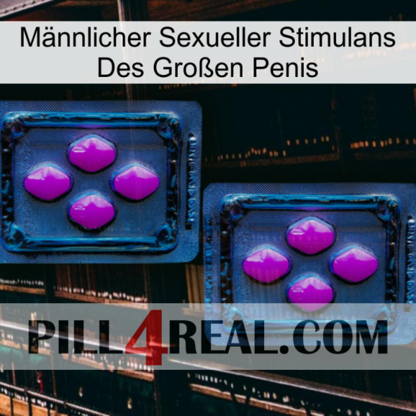 Männlicher Sexueller Stimulans Des Großen Penis 03.jpg